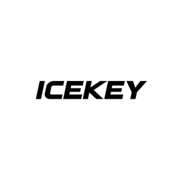 ICEKEY logo