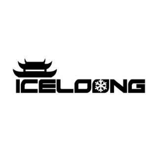 ICELOONG logo