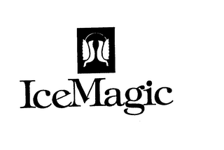 ICEMAGIC logo