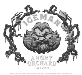 ICEMAN ANGRY ORCHARD HARD CIDER logo