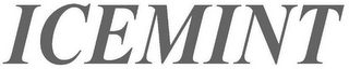 ICEMINT logo