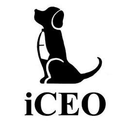 ICEO logo