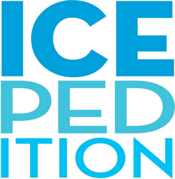 ICEPEDITION logo