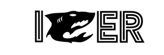 ICER logo