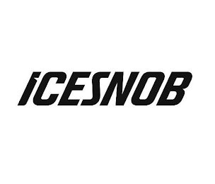 ICESNOB logo
