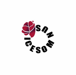 ICESOMNUS logo