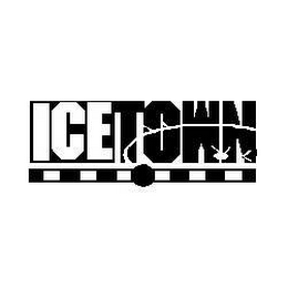 ICETOWN logo