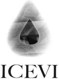 ICEVI logo