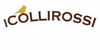 ICOLLIROSSI logo