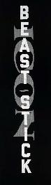ICON BEAST STICK logo