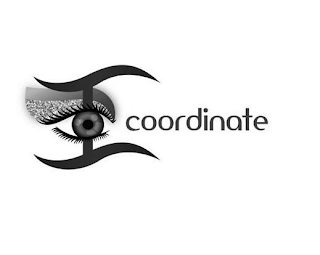 ICOORDINATE logo