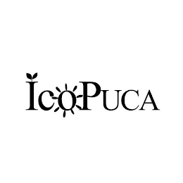 ICOPUCA logo