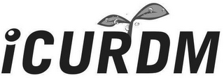 ICURDM logo