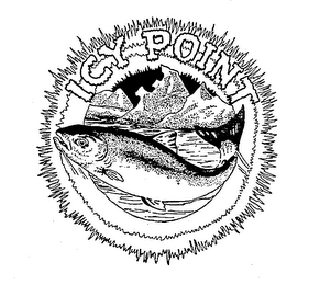 ICY POINT logo