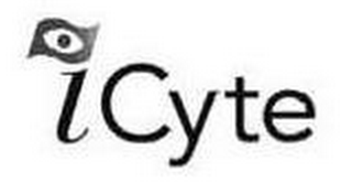 ICYTE logo