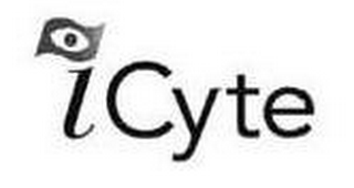 ICYTE logo