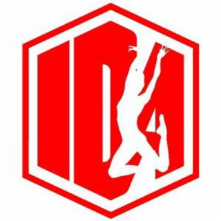 IDA logo