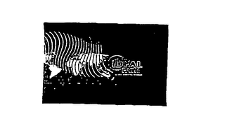 IDEAL PATH logo