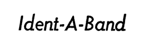 IDENT-A-BAND logo