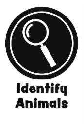 IDENTIFY ANIMALS logo