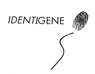 IDENTIGENE logo