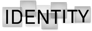 IDENTITY logo