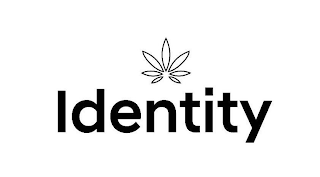 IDENTITY logo