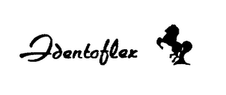 IDENTOFLEX logo