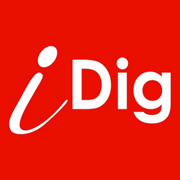 IDIG logo