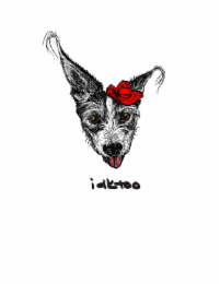 IDKTOO logo