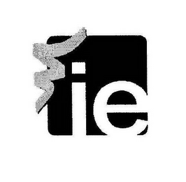 IE logo