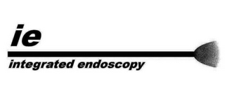 IE INTEGRATED ENDOSCOPY logo