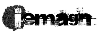 IEMAGN logo