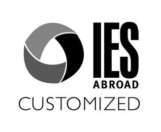 IES ABROAD CUSTOMIZED logo