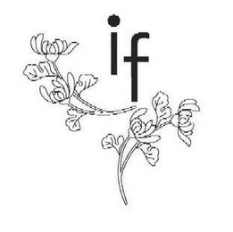 IF logo