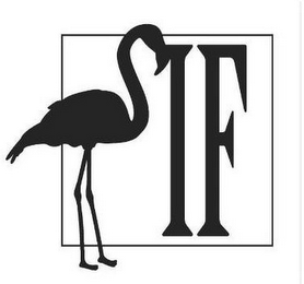 IF logo