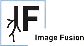 IF IMAGE FUSION logo