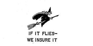 IF IT FLIES-WE INSURE IT logo
