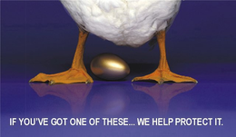 IF YOU'VE GOT ONE OF THESE...WE HELP PROTECT IT. logo