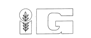 IG logo