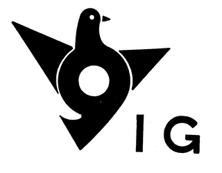 IG logo