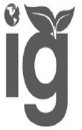 IG logo