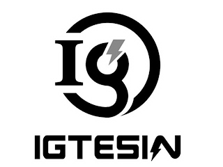IG IGTESIN logo
