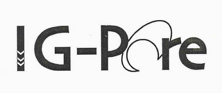 IG-PORE logo
