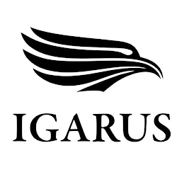 IGARUS logo