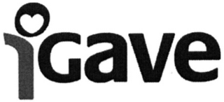 IGAVE logo
