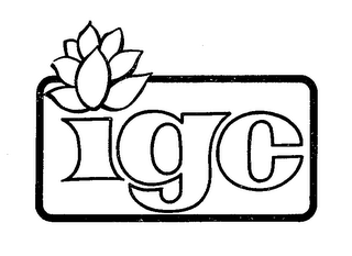 IGC logo