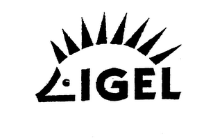 IGEL logo