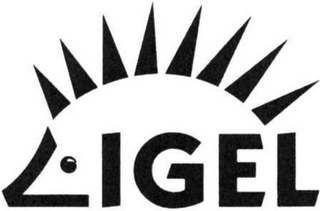 IGEL logo