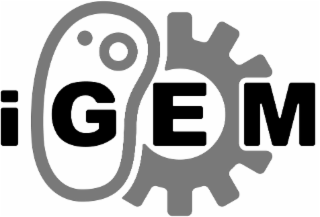 IGEM logo